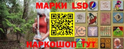 дмт Будённовск