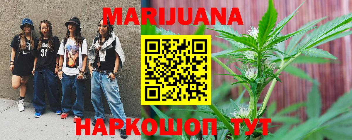 Конопля план  Вход с VPN  Сосновый Бор  Бошки Шишки SATIVA & INDICA  Каннабис семена 